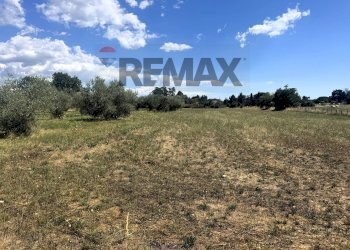 Giardino - Villa Via Romana
 
190/A, Mazzano Romano - photo 77