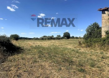 Giardino - Villa Via Romana
 
190/A, Mazzano Romano - photo 83