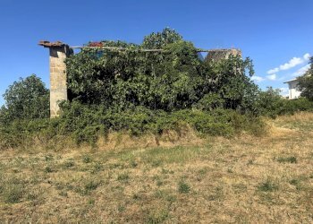 Giardino - Villa Via Romana
 
190/A, Mazzano Romano - photo 87