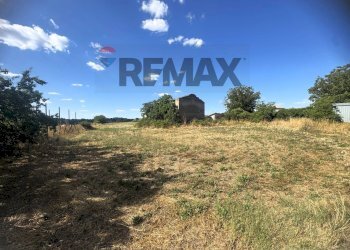 Giardino - Villa Via Romana
 
190/A, Mazzano Romano - photo 89