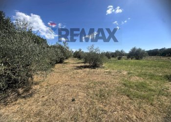 Vista delle montagne - Villa Via Romana
 
190/A, Mazzano Romano - photo 93