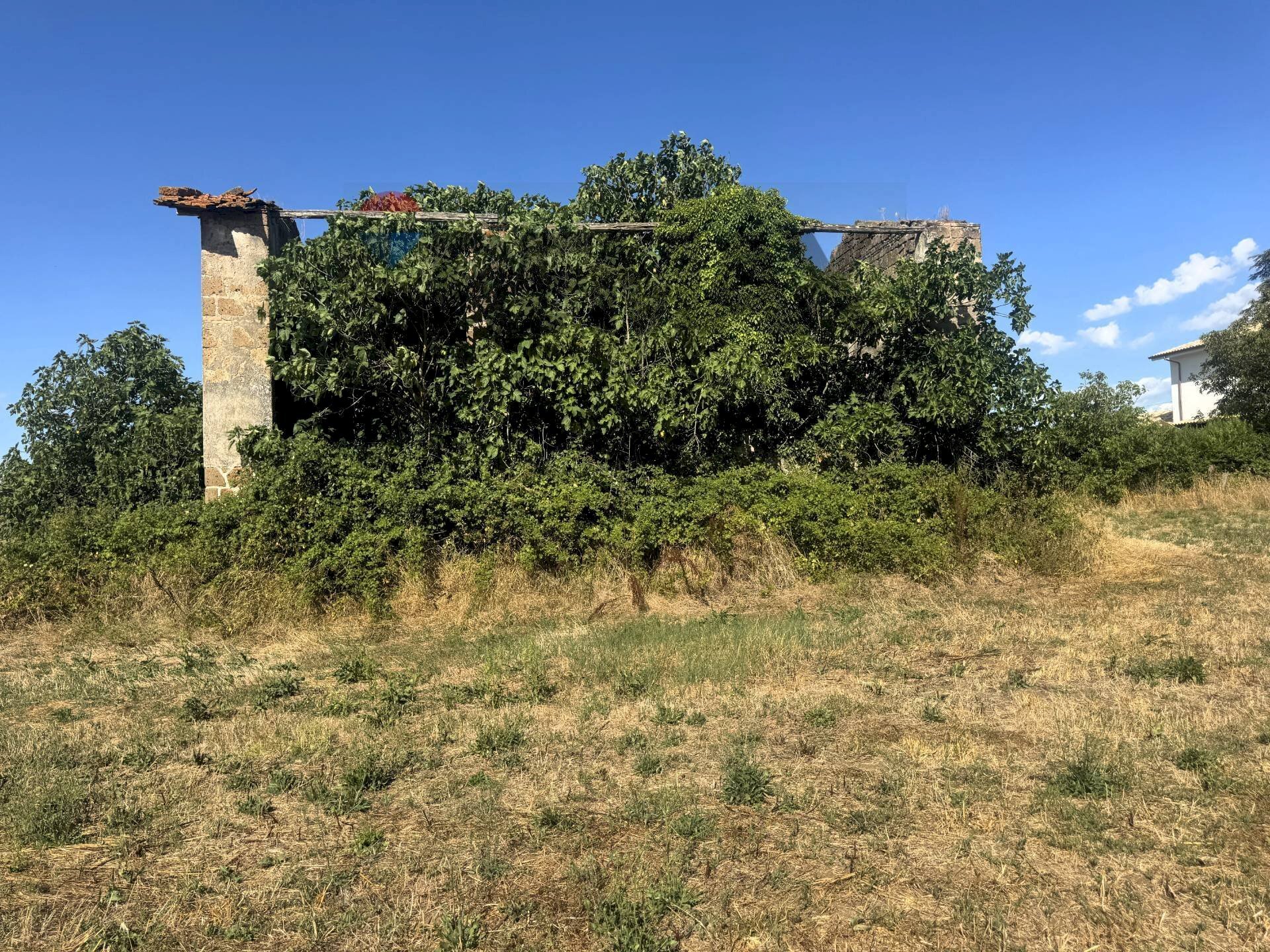 Giardino - Villa VIA ROMANA
 
190/A, Mazzano Romano - photo 3