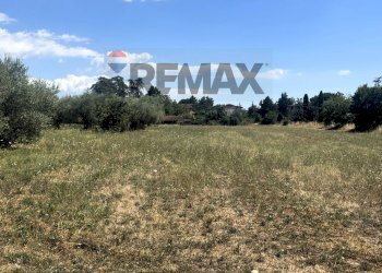 Giardino - Villa VIA ROMANA
 
190/A, Mazzano Romano - photo 12