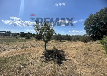 Vista delle montagne - Villa VIA ROMANA
 
190/A, Mazzano Romano - photo 15