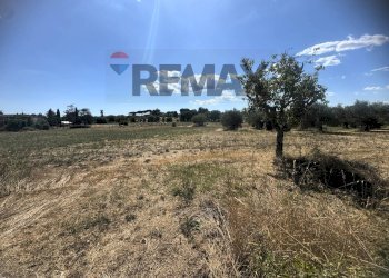 Vista delle montagne - Villa VIA ROMANA
 
190/A, Mazzano Romano - photo 17