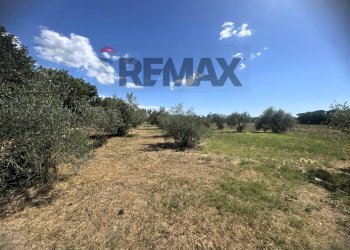 Vista delle montagne - Villa VIA ROMANA
 
190/A, Mazzano Romano - photo 19