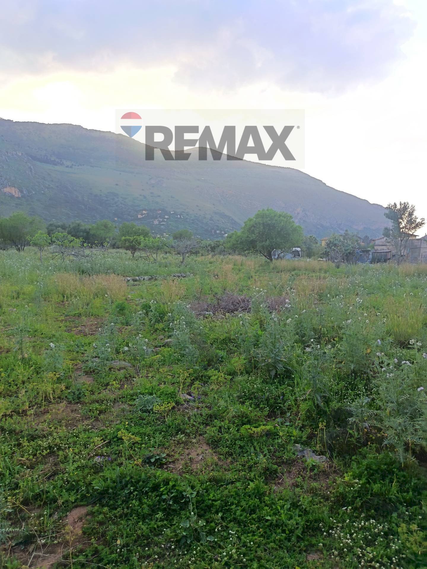 Vista delle montagne - Terreno agricolo via Dei Limoni, Carini - foto 2