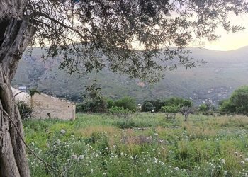 Non correlato - Terreno agricolo via Dei Limoni, Carini - foto 4