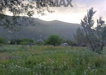 Vista delle montagne - Terreno agricolo via Dei Limoni, Carini - foto 5