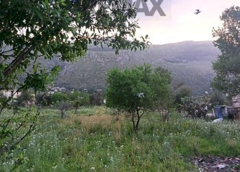 Vista delle montagne - Terreno agricolo via Dei Limoni, Carini - foto 7