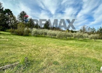 Giardino - Agriturismo via di vallebona
 
83, Chiusi della Verna - foto 14