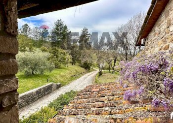 Giardino - Agriturismo via di vallebona
 
83, Chiusi della Verna - foto 22