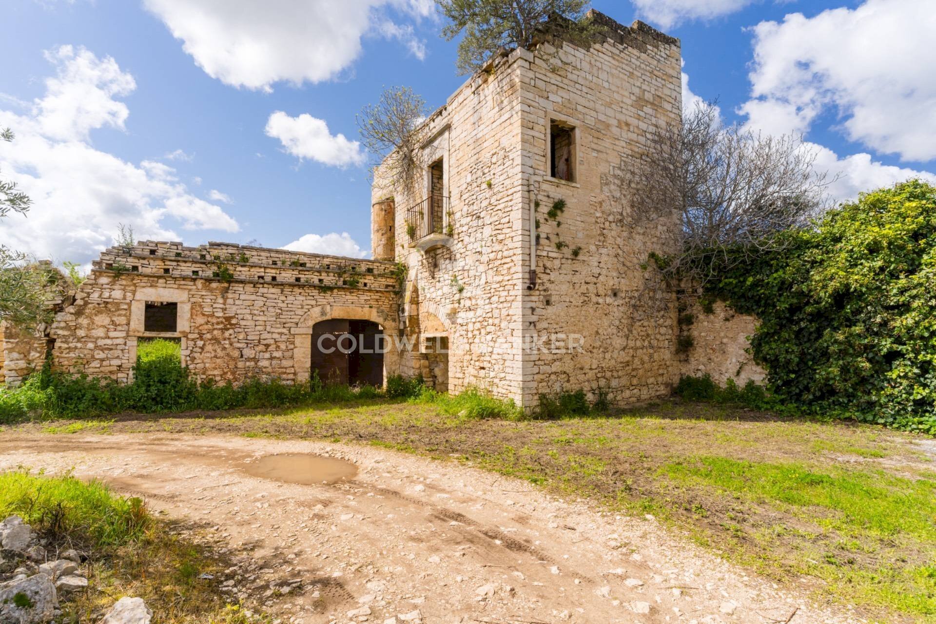 Foto 1 - Terreno agricolo Contrada Squarcione
 
Snc, Ruvo di Puglia - foto 1