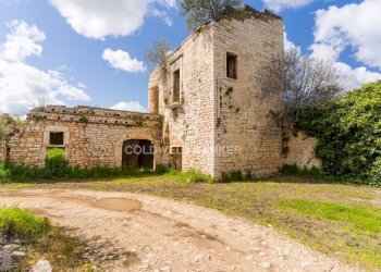 Foto 1 - Terreno agricolo Contrada Squarcione
Snc, Ruvo di Puglia - foto 1