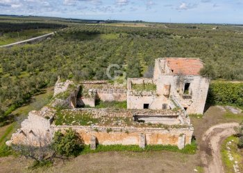 Foto 2 - Terreno agricolo Contrada Squarcione
Snc, Ruvo di Puglia - foto 2