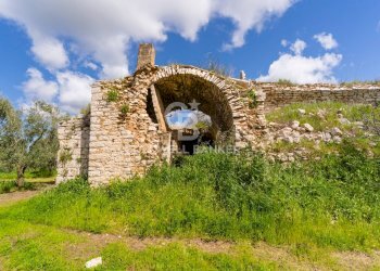 Foto 4 - Terreno agricolo Contrada Squarcione
Snc, Ruvo di Puglia - foto 4