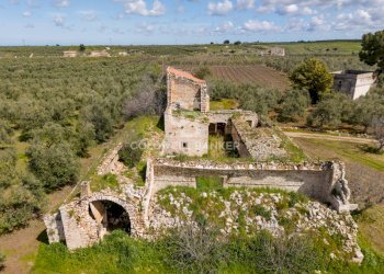 Foto 5 - Terreno agricolo Contrada Squarcione
Snc, Ruvo di Puglia - foto 5