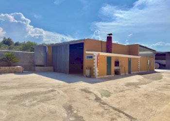 Foto 7 - Villa Contrada Montevitolo, Andria - foto 7