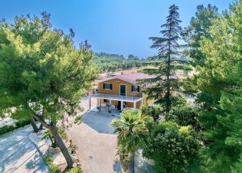 Foto 9 - Villa Contrada Montevitolo, Andria - foto 9