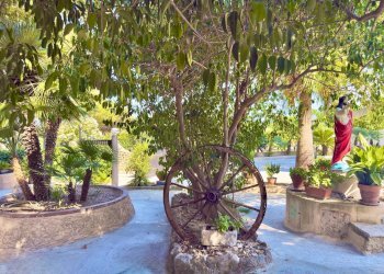 Foto 38 - Villa Contrada Montevitolo, Andria - foto 38