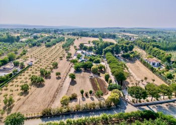 Foto 46 - Villa Contrada Montevitolo, Andria - foto 46