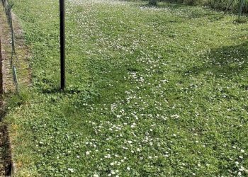 Foto 26 - Bilocale VIA DANTE
 
6/B, Bibbiena - foto 26