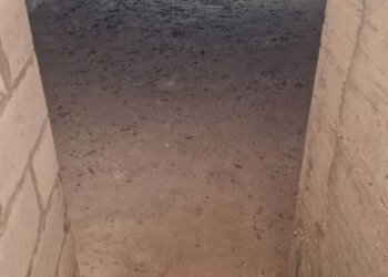 Scala - Negozio via Orlando Argentesi, Medicina - foto 15