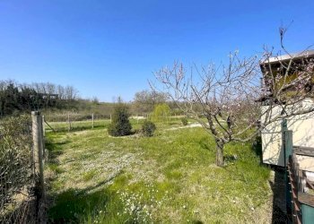 Terreno - Rustico via delle Rose, Spineto Scrivia - foto 3