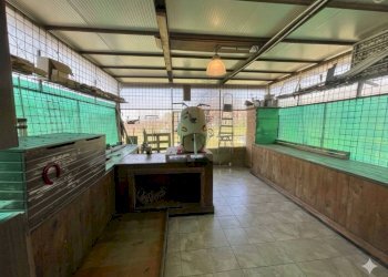 Portico - Rustico via delle Rose, Spineto Scrivia - foto 6