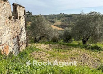 Terreno - Rustico SP 45, Moscufo - foto 9