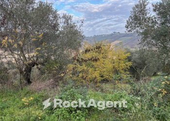 Terreno - Rustico SP 45, Moscufo - foto 18