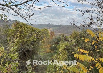 Vista - Rustico SP 45, Moscufo - foto 24