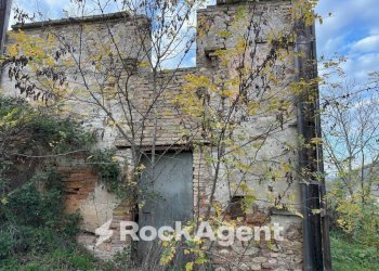 Terreno - Rustico SP 45, Moscufo - foto 25