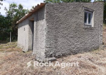 Terreno - Terreno agricolo contrada Mortella, Marcellinara - foto 9