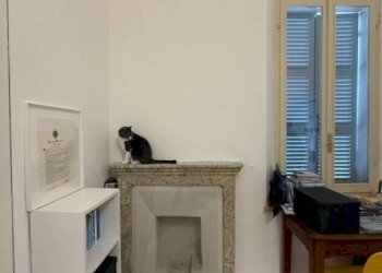 Studio - Bilocale strada Matteo Renato Imbriani, Parma - foto 10