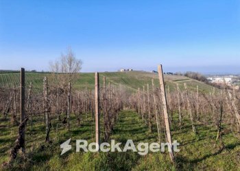 Terreno - Rustico FRAZIONE CAMPORELLO 5, San Damiano al Colle - foto 22