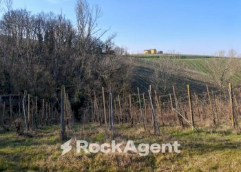 Terreno - Rustico FRAZIONE CAMPORELLO 5, San Damiano al Colle - foto 24