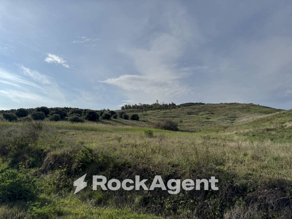 Terreno - Terreno agricolo viale Emilia, 1, Catanzaro - foto 3