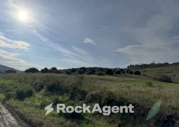 Terreno - Terreno agricolo viale Emilia, 1, Catanzaro - foto 4