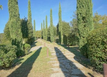 Terreno - Villa umbertide, Umbertide - foto 24