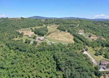 Vista - Villa strada Provinciale di Lisciano Niccone, Lisciano Niccone - foto 20