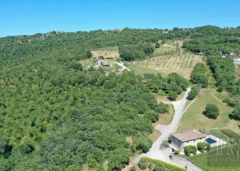 Vista - Villa strada Provinciale di Lisciano Niccone, Lisciano Niccone - foto 21