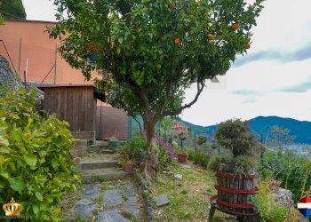 Casa indipendente Via Don Angelo Polleri, 8 
 Recco, Recco - foto 18