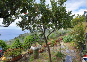 Casa indipendente Via Don Angelo Polleri, 8 
 Recco, Recco - foto 88