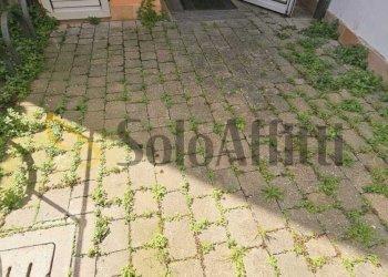 corte esterna - Appartamento Via Saffi snc, Forlimpopoli - foto 16