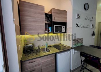 monolocale 1.jpeg - Monolocale Torino (zona San Paolo) - foto 7