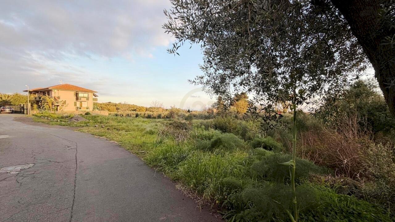 TERRENO - Agricultural land Mascalucia - photo 3