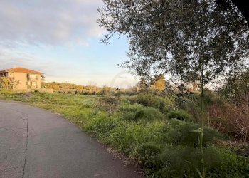 TERRENO - Agricultural land Mascalucia - photo 3