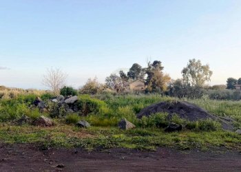 terreno - Agricultural land Mascalucia - photo 4