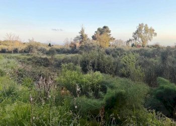 TERRENO - Agricultural land Mascalucia - photo 5